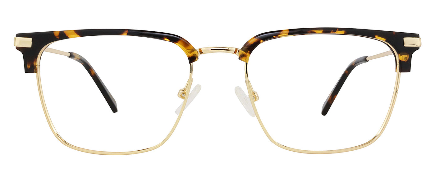 Tortoise Gold