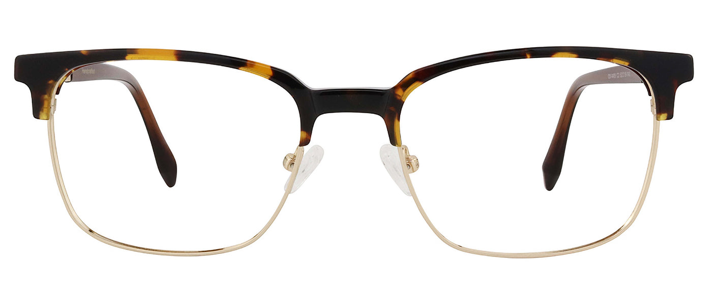 Tortoise Gold