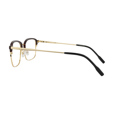 Gold Tortoise
