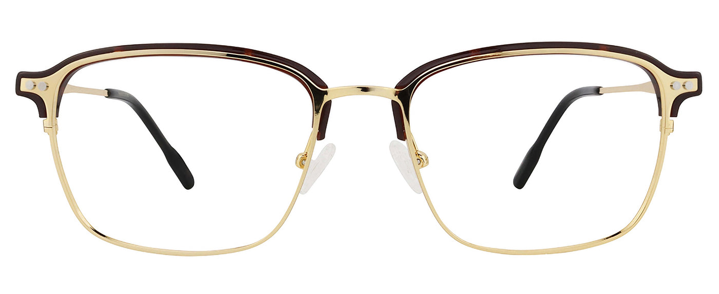 Gold Tortoise