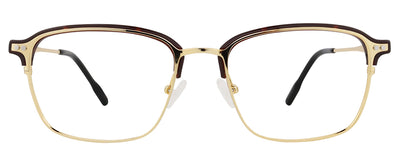 Gold Tortoise