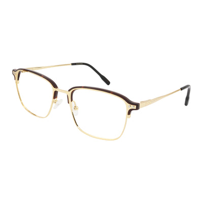 Gold Tortoise