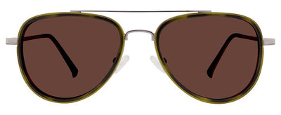 Brown Tortoise